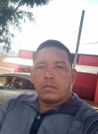 José, 45 лет, Uberaba