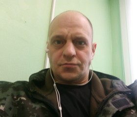 Сергей, 39 лет, Кола