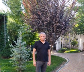 Alisher, 59 лет, Kirgili