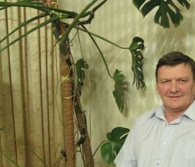 сергей, 63 года, Киров (Кировская обл.)