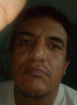 Victor, 48 лет, Saltillo