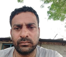 Krishna kant, 38 лет, Bhopal