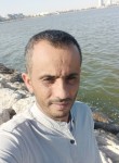 الصانع, 29 лет, صنعاء