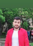 Hamed, 19 лет, Bahçelievler