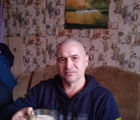 Василий, 46 лет, Искитим