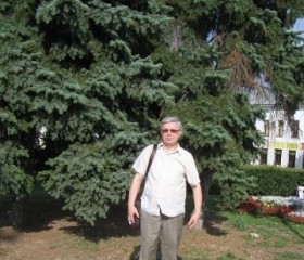 Сергей, 65 лет, Ярославль