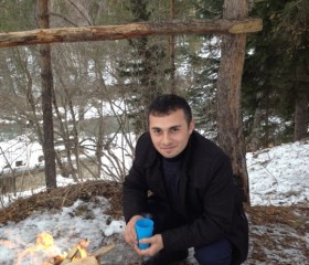 Шамиль, 37 лет, Краснодар