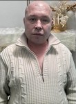 Роман, 47 лет, Дмитров