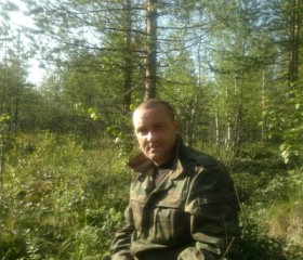 Александр, 42 года, Новодвинск