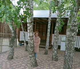 Галина, 57 лет, Барнаул