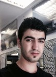 mehmet, 29 лет, Melegnano