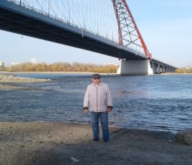 Андрей, 65 лет, Новосибирск