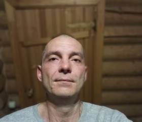 Роман, 43 года, Пермь