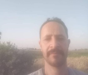 الاثري, 47, Cairo
