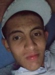 Brandon, 21 год, Pereira