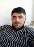 Yanliz, 33 года, Ankara