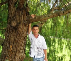 Константин, 45 лет, Тольятти