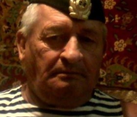 Геннадий, 73 года, Артем