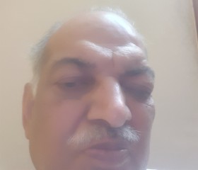 Bansal, 65 лет, Chandigarh