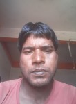 Rajeev Kumar, 28 лет, Bikramganj