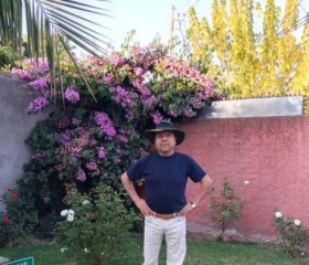 Sergio, 66 лет, Santa Cruz