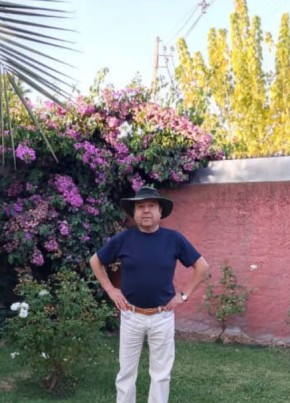 Sergio, 66, República de Chile, Santa Cruz