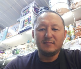 Urmat Kabataev, 43 года, Бишкек