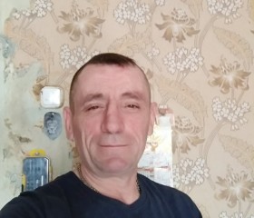 Андрей, 50 лет, Кольчугино