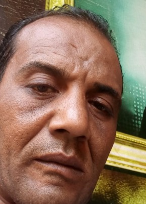 العربى الشورى, 51, جمهورية مصر العربية, دكرنس