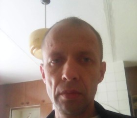Алексей, 52 года, Нытва