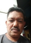 M. Hattar, 54 года, Tarakan