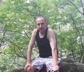 Алексей Илюшкин, 43 года, Барнаул