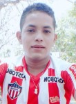 Jesús, 24 года, Barranquilla