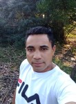 Ledionir, 32 года, Santa Cruz do Sul