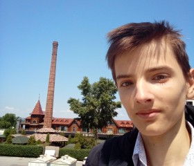 Arseniy, 19 лет, Казань