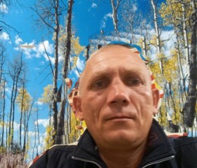 Валерий, 54 года, Ярославль