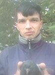 Михаил, 34 года, Иваново