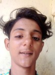 Muhammed shahin, 20 лет, Kāsaragod