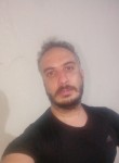 Alireza.m.boxer, 33 года, تِهران