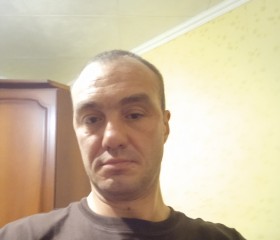 Вадим, 44 года, Родники (Ивановская обл.)
