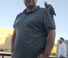 Sajjad, 33, Tehran