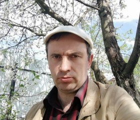 Сергей, 43 года, Таруса