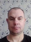 Александр Иванин, 41 год, Воронеж