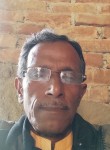 Sapan Halder, 48 лет, New Delhi