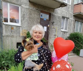 Светлана, 63 года, Гвардейск