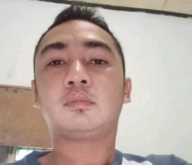 Nico Juliano, 31 год, Kota Semarang