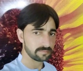 Nazran Tanoli, 27 лет, اسلام آباد
