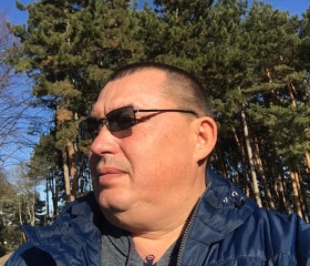 Владимир, 52 года, Михайловск (Ставропольский край)