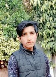 Ali mohsin, 19 лет, لاہور