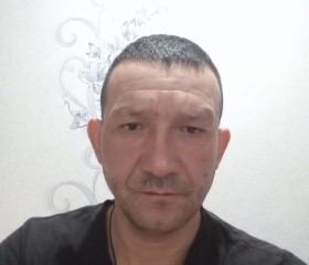 Дима, 43 года, Ульяновск